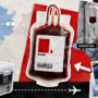 Argentina envió por primera vez sangre extremadamente rara a Chile para una paciente crítica Argentina envió por primera vez sangre extremadamente rara a Chile para una paciente crítica