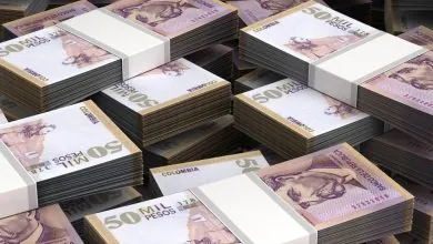 Presupuesto Maximo Anual