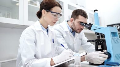 _Primeros-estudios-preclinicos-de-cannabis-medicinal-en-Latinoamerica-