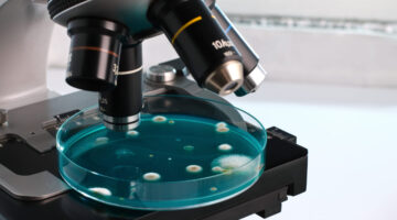 Proteína sería clave en el desarrollo de la vaginosis bacteriana