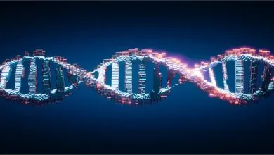 Proyecto 1000 genomas amplía su oferta de recursos de acceso abierto