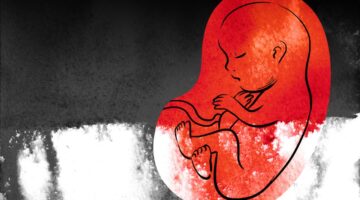 Proyecto de ley pretende regular la Intervención Voluntaria del Embarazo