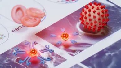 Prueba portátil detecta enfermedades infecciosas en 15 minutos con una sola gota de sangre