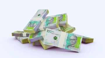 Recursos del sistema de salud usos, fuentes y retos