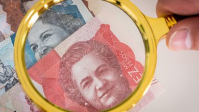 Reglamentado el pago de servicios excluidos del sistema de salud - Decreto 1810 de 2020