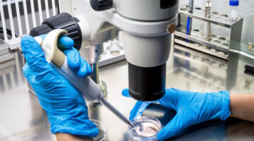 Reino Unido investiga células que podría combatir todo tipo cáncer