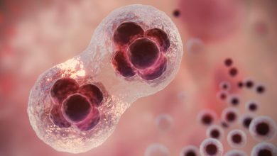 Reino Unido lanza el primer programa mundial de vacunación contra la gonorrea