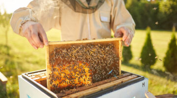 Requisitos sanitarios que deberá cumplir la miel para consumo humano