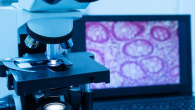 Roche abre acceso plataforma digital analisis imagenes