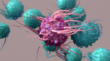 Roche invierte US$70 millones en tecnologías para desarrollar terapias con células T