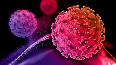 Subvenciones de la Red de Vigilancia de Patógenos fortalecen vigilancia genómica global