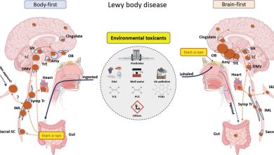 Toxinas en el ambiente ¿detonantes de la enfermedad de Parkinson
