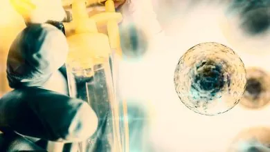 Trasplante de células madre hematopoyéticas