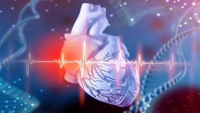 Tratamiento ayudaría a revertir daños estructurales en el corazón