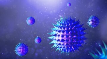 “Amenaza para la salud mundial”: nueva cepa del virus del mono despierta preocupación en la OMS