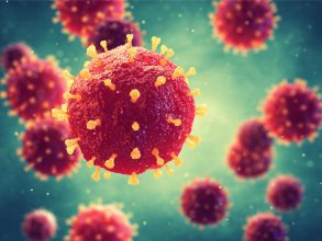 VIRUS CORONAVIRUS