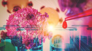 Venetoclax nueva opción para leucemia linfoide crónica en Colombia