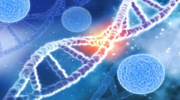 Virus del herpes afectaría el desarrollo cerebral del feto