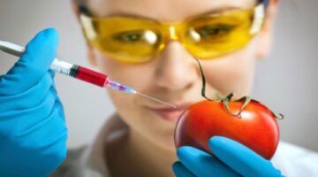 ABC alimentos genéticamente modificados