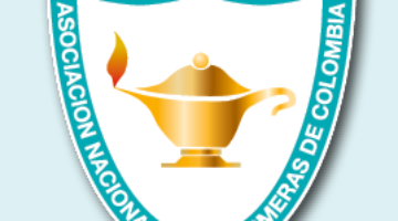 Organizaciones de enfermería piden al Ministerio participación en las decisiones que involucren a la profesión.