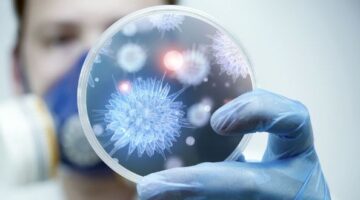 OMS presenta lista de las 12 superbacterias más resistentes a los antibióticos