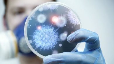OMS presenta lista de las 12 superbacterias más resistentes a los antibióticos