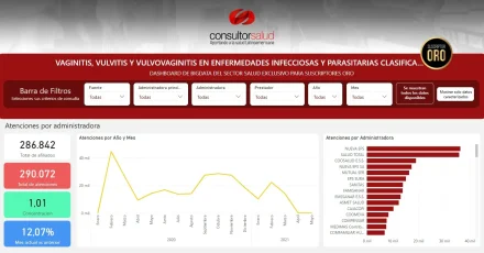 bigdata-vaginitis-vulvitis-y-vulvovaginitis