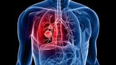 Nueva Terapia inmunológica contra el cáncer