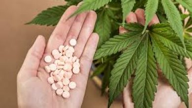 Minsalud-otorga-primera-licencia-para-producción-de-cannabis-medicinal-Consultorsalud-2016