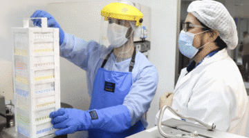 células-mesenquimales