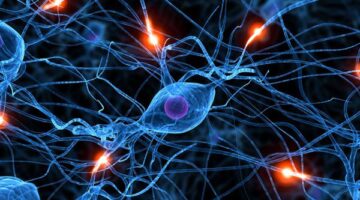Semana Mundial de Alzheimer