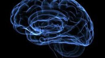 Colombia requiere de un Banco de Cerebros