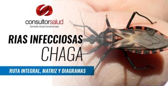 RIAS Infecciosas de Chagas - Ruta Integra, Matriz y Diagrama