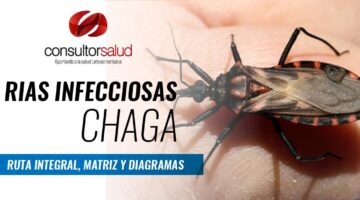 RIAS Infecciosas de Chagas - Ruta Integra, Matriz y Diagrama