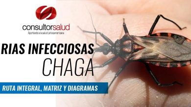 RIAS Infecciosas de Chagas - Ruta Integra, Matriz y Diagrama