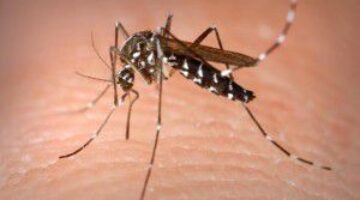 MinSalud asigna presupuesto para Plan de Contingencia del Chikunguya