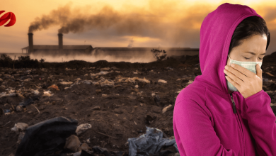 Contaminación atmosférica de “asesino silencioso”