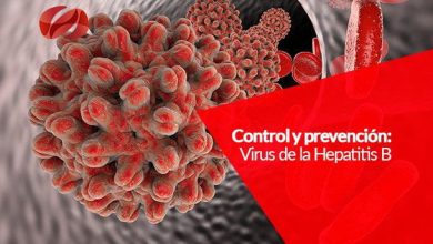 Control y prevención Virus de la Hepatitis B