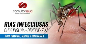 RIAS DENGUE, ZIKA, CHIKUNGUÑA - RUTA INTEGRAL, MATRIZ Y DIAGRAMA