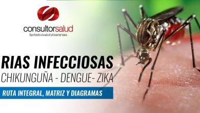 RIAS DENGUE, ZIKA, CHIKUNGUÑA - RUTA INTEGRAL, MATRIZ Y DIAGRAMA