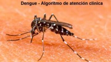 Dengue - Algoritmo Atención Clínica