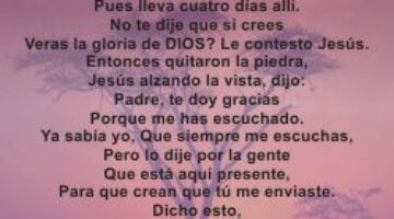 Juan 11:38