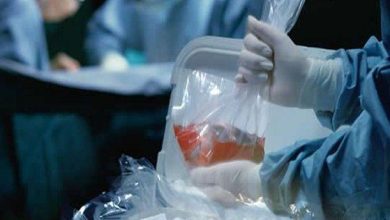 Parámetros para el proceso de donación de órganos – Circular 007 de 2016