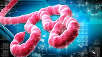 Medidas de prevención ante el Ébola