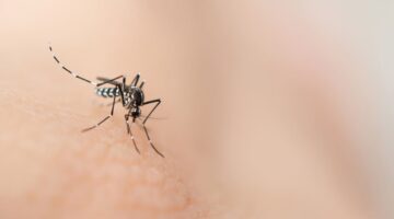 evita sistema inmunologico parasito