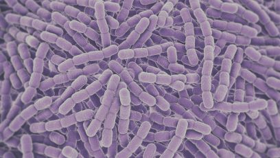 fda aprueba vacuna pfizer neumococo