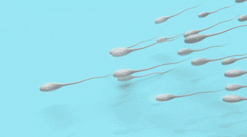 fertilidad masculina