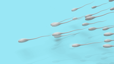 fertilidad masculina