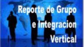 A reportar el Grupo y la Integracion Vertical