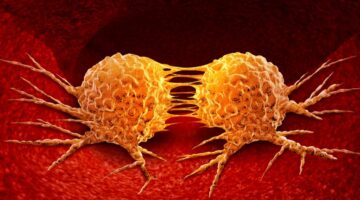 hallazgo reposicionaria inmunoterapia cancer